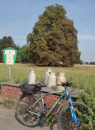 Rad fahren in Wennigsen Fahrrad fahren im Deistervorland rund um Wennigsen © Tourismus-Service Wennigsen