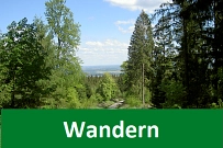 Waldweg mit Bäumen rechts und links, Verlinkung zu der Internetseite Wandern © Tourismus-Service Wennigsen