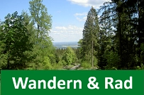 Verlinkung Wandern Waldweg mit Bäumen rechts und links, Verlinkung zu der Internetseite Wandern © Tourismus-Service Wennigsen